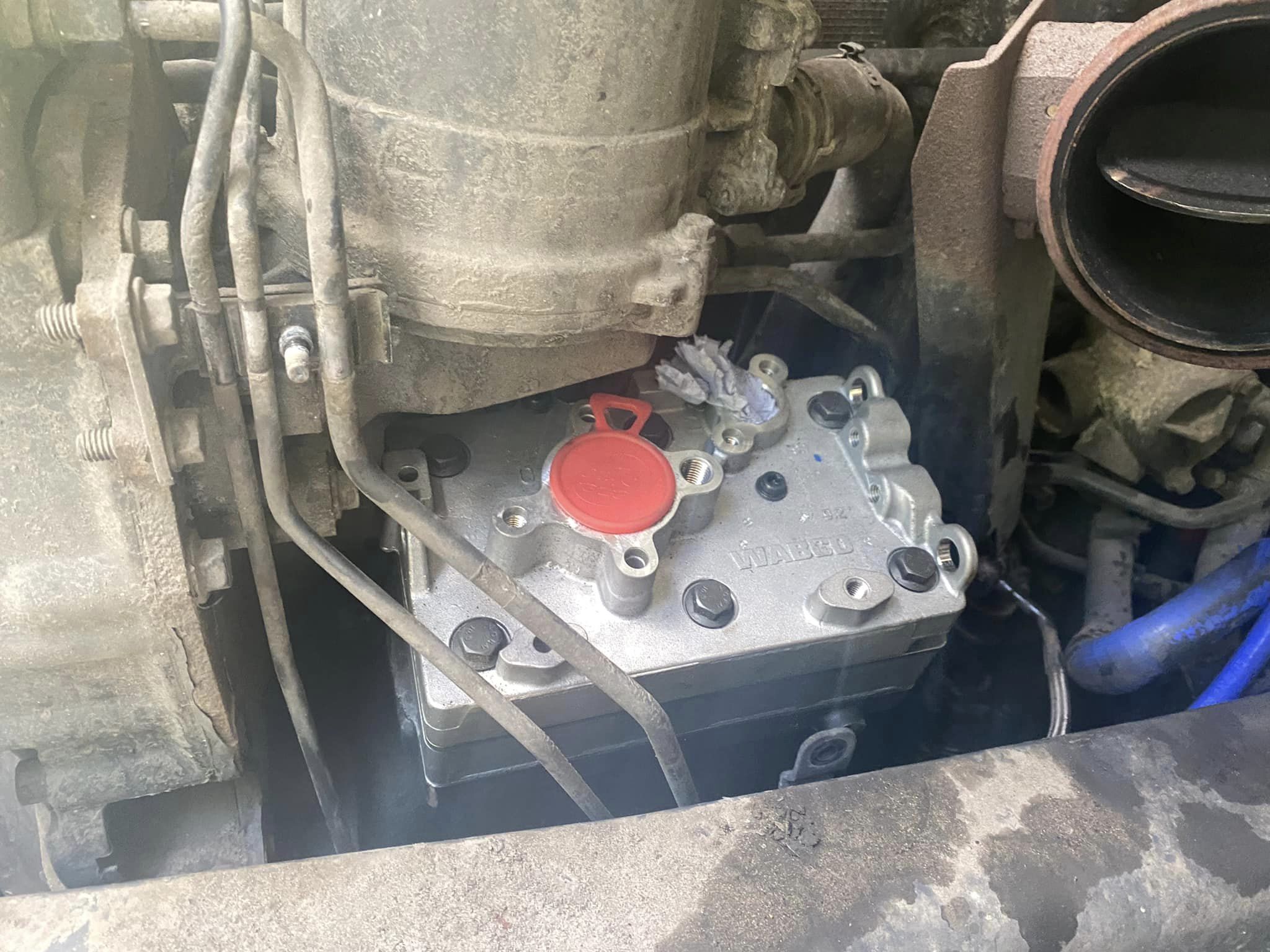 438216360_358702110528794_2692133379334941909_n